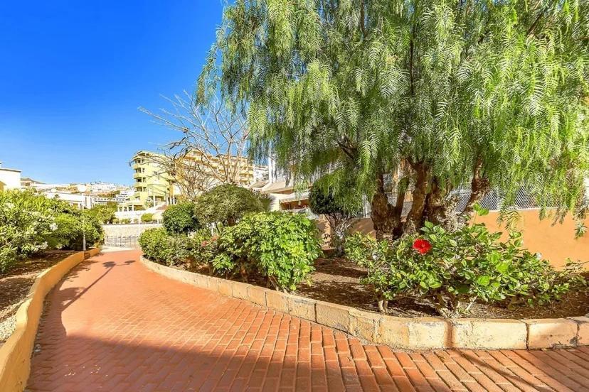 Tenerifeopenhome Costa Adeje Prestige Apartment With Pools Exterior foto